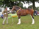 Image 49 in ROYAL NORFOLK SHOW 2016. DAY 1.