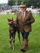 Image 5 in ROYAL NORFOLK SHOW 2016. DAY 1.