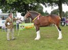 Image 50 in ROYAL NORFOLK SHOW 2016. DAY 1.