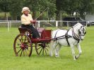 Image 55 in ROYAL NORFOLK SHOW 2016. DAY 1.