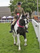 Image 61 in ROYAL NORFOLK SHOW 2016. DAY 1.