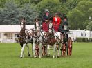 Image 66 in ROYAL NORFOLK SHOW 2016. DAY 1.