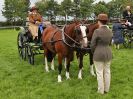 Image 70 in ROYAL NORFOLK SHOW 2016. DAY 1.