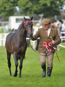 Image 8 in ROYAL NORFOLK SHOW 2016. DAY 1.