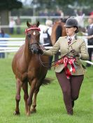 Image 9 in ROYAL NORFOLK SHOW 2016. DAY 1.