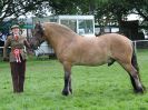 Image 14 in ROYAL NORFOLK SHOW 2016. DAY 2.