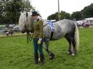 Image 15 in ROYAL NORFOLK SHOW 2016. DAY 2.