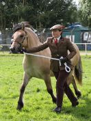 Image 17 in ROYAL NORFOLK SHOW 2016. DAY 2.