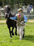 Image 18 in ROYAL NORFOLK SHOW 2016. DAY 2.