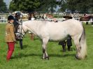 Image 19 in ROYAL NORFOLK SHOW 2016. DAY 2.