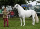 Image 2 in ROYAL NORFOLK SHOW 2016. DAY 2.