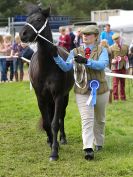 Image 22 in ROYAL NORFOLK SHOW 2016. DAY 2.