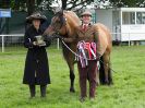 Image 25 in ROYAL NORFOLK SHOW 2016. DAY 2.