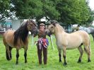 Image 26 in ROYAL NORFOLK SHOW 2016. DAY 2.