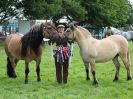 Image 28 in ROYAL NORFOLK SHOW 2016. DAY 2.