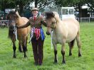 Image 29 in ROYAL NORFOLK SHOW 2016. DAY 2.