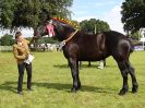 Image 37 in ROYAL NORFOLK SHOW 2016. DAY 2.