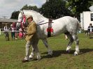 Image 38 in ROYAL NORFOLK SHOW 2016. DAY 2.