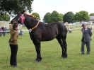 Image 39 in ROYAL NORFOLK SHOW 2016. DAY 2.