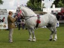 Image 40 in ROYAL NORFOLK SHOW 2016. DAY 2.