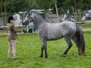 Image 5 in ROYAL NORFOLK SHOW 2016. DAY 2.