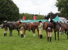 Image 50 in ROYAL NORFOLK SHOW 2016. DAY 2.