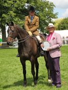 Image 55 in ROYAL NORFOLK SHOW 2016. DAY 2.