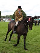 Image 58 in ROYAL NORFOLK SHOW 2016. DAY 2.