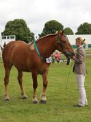 Image 60 in ROYAL NORFOLK SHOW 2016. DAY 2.