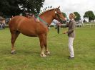 Image 61 in ROYAL NORFOLK SHOW 2016. DAY 2.