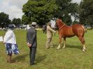 Image 62 in ROYAL NORFOLK SHOW 2016. DAY 2.