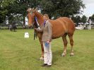 Image 65 in ROYAL NORFOLK SHOW 2016. DAY 2.