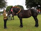 Image 66 in ROYAL NORFOLK SHOW 2016. DAY 2.