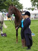 Image 74 in ROYAL NORFOLK SHOW 2016. DAY 2.