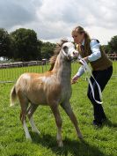 Image 83 in ROYAL NORFOLK SHOW 2016. DAY 2.