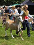 Image 84 in ROYAL NORFOLK SHOW 2016. DAY 2.