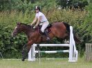 Image 100 in BECCLES AND BUNGAY RC. FUN DAY. 3 JULY 2016. SHOW JUMPING.