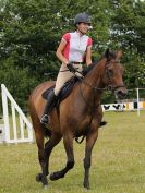 Image 104 in BECCLES AND BUNGAY RC. FUN DAY. 3 JULY 2016. SHOW JUMPING.