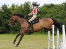 Image 109 in BECCLES AND BUNGAY RC. FUN DAY. 3 JULY 2016. SHOW JUMPING.