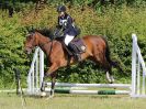 Image 11 in BECCLES AND BUNGAY RC. FUN DAY. 3 JULY 2016. SHOW JUMPING.