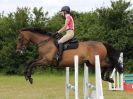 Image 110 in BECCLES AND BUNGAY RC. FUN DAY. 3 JULY 2016. SHOW JUMPING.