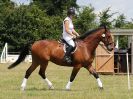 Image 120 in BECCLES AND BUNGAY RC. FUN DAY. 3 JULY 2016. SHOW JUMPING.