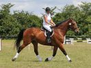 Image 121 in BECCLES AND BUNGAY RC. FUN DAY. 3 JULY 2016. SHOW JUMPING.