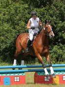 Image 125 in BECCLES AND BUNGAY RC. FUN DAY. 3 JULY 2016. SHOW JUMPING.