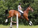 Image 128 in BECCLES AND BUNGAY RC. FUN DAY. 3 JULY 2016. SHOW JUMPING.