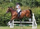 Image 131 in BECCLES AND BUNGAY RC. FUN DAY. 3 JULY 2016. SHOW JUMPING.