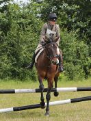 Image 156 in BECCLES AND BUNGAY RC. FUN DAY. 3 JULY 2016. SHOW JUMPING.