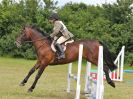 Image 157 in BECCLES AND BUNGAY RC. FUN DAY. 3 JULY 2016. SHOW JUMPING.