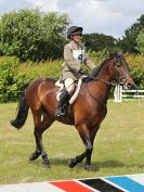 Image 160 in BECCLES AND BUNGAY RC. FUN DAY. 3 JULY 2016. SHOW JUMPING.