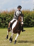 Image 190 in BECCLES AND BUNGAY RC. FUN DAY. 3 JULY 2016. SHOW JUMPING.